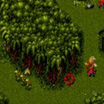 Cannon Fodder - Amiga